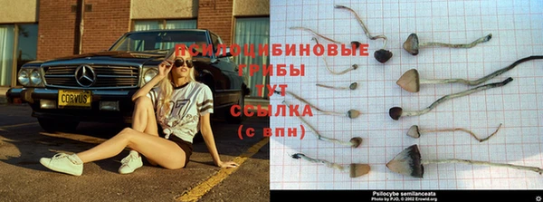 гашик Рославль