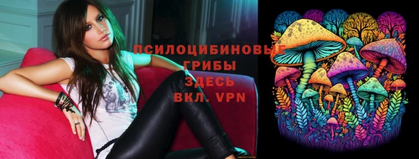 гашик Рославль