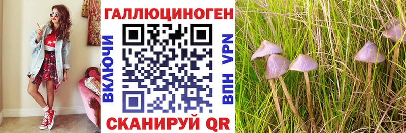 Купить  Североуральск  Псилоцибиновые грибы мицелий 